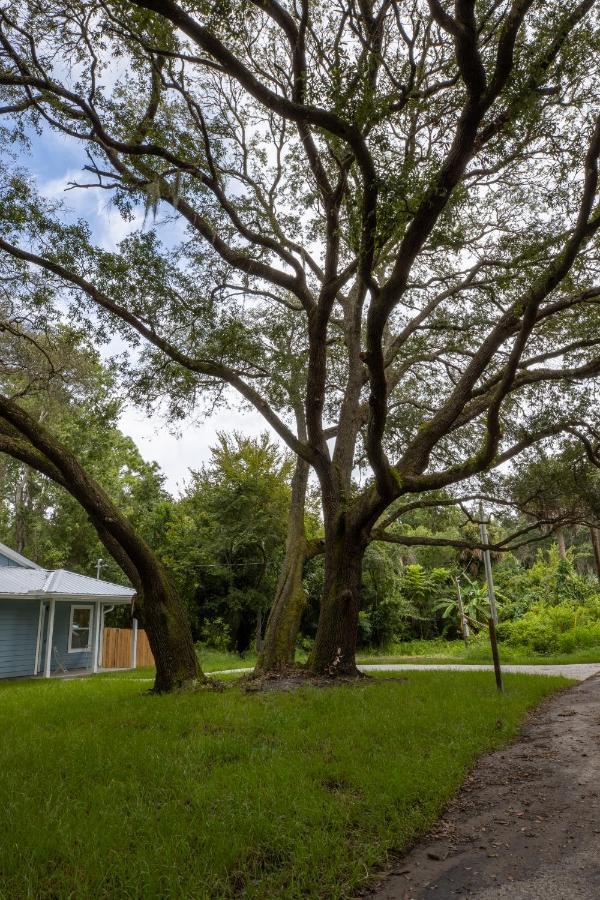Recharge Getaway To Historic Downtown & Beach New Build St. Augustine Kültér fotó